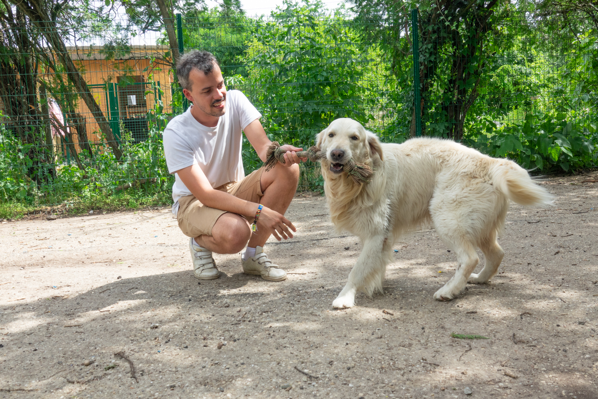 Lire la suite à propos de l’article SoliVet démontre que l’animal est social